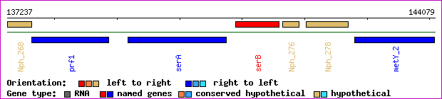 gene map