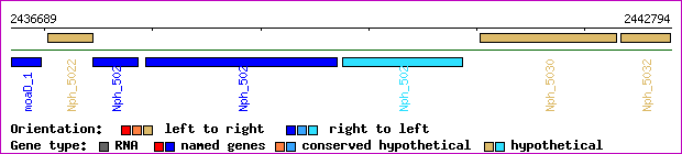 gene map