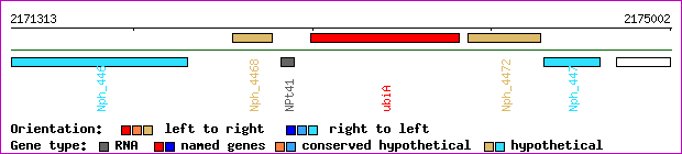 gene map