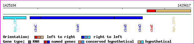 gene map