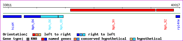 gene map