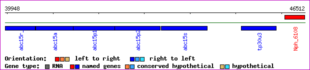 gene map