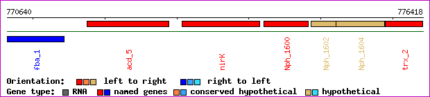 gene map
