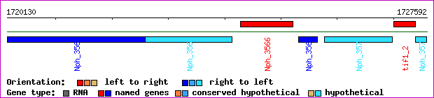 gene map