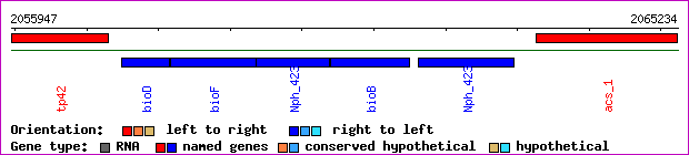 gene map