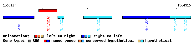 gene map
