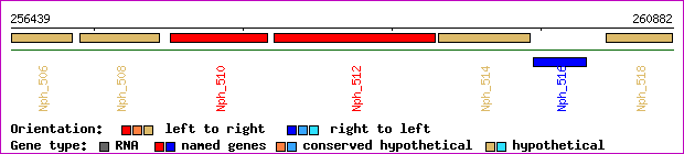 gene map