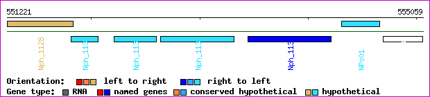 gene map