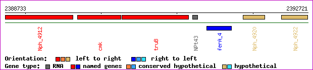 gene map