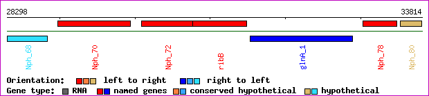 gene map