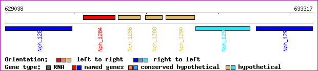 gene map
