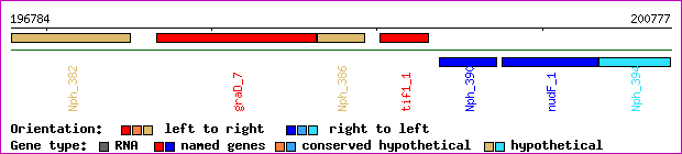 gene map