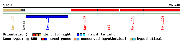 gene map