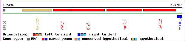 gene map