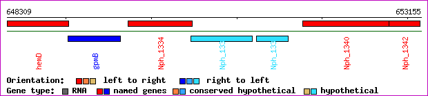 gene map