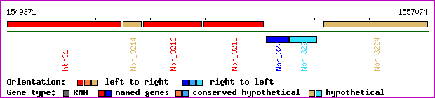 gene map