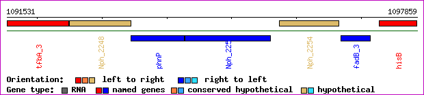 gene map
