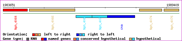 gene map