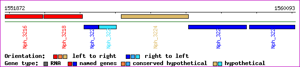 gene map