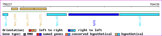 gene map