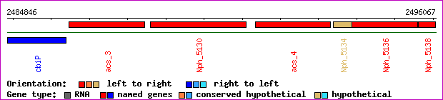 gene map