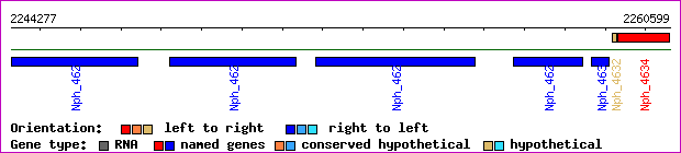 gene map