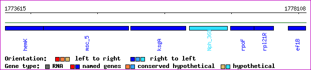gene map