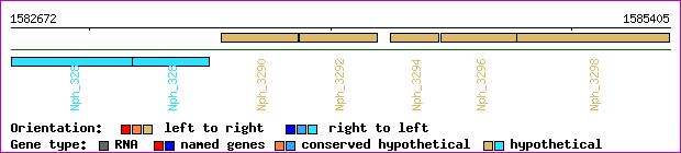 gene map