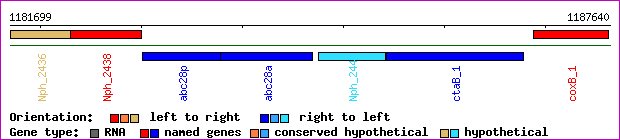 gene map