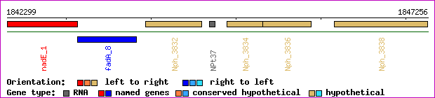 gene map