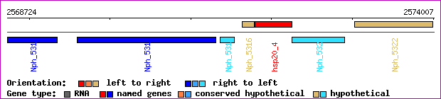 gene map
