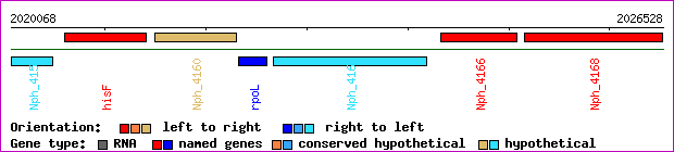 gene map