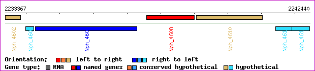 gene map