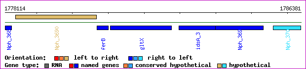 gene map