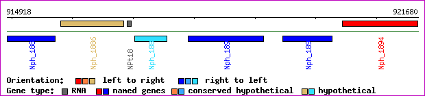 gene map