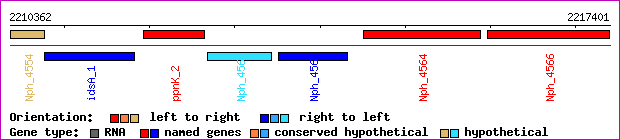 gene map