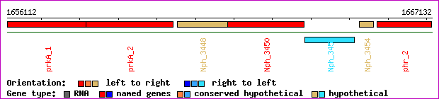 gene map