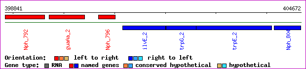 gene map