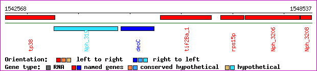 gene map