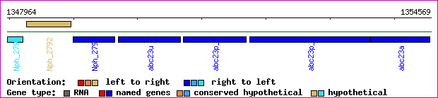gene map