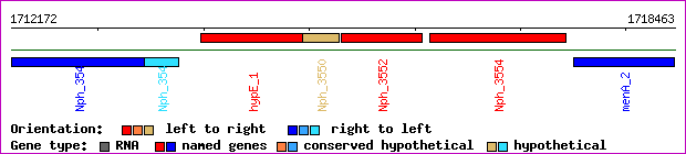 gene map