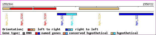 gene map