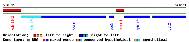 gene map
