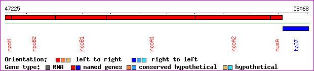 gene map