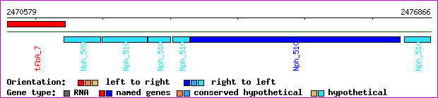 gene map