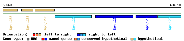 gene map