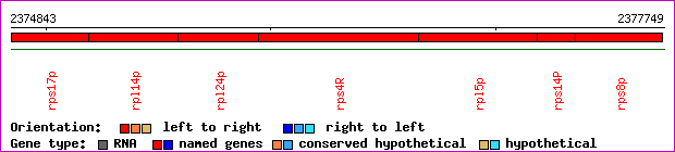 gene map