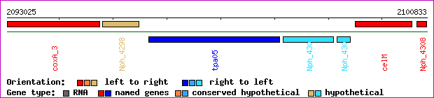 gene map