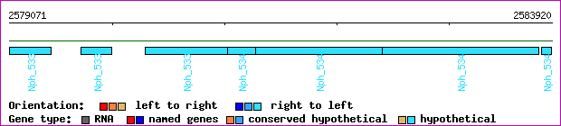 gene map