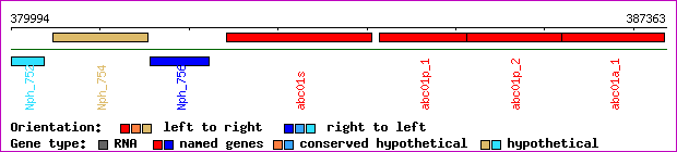 gene map